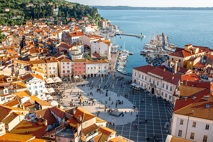 The Cover of the 2024 Economic Survey of Slovenia